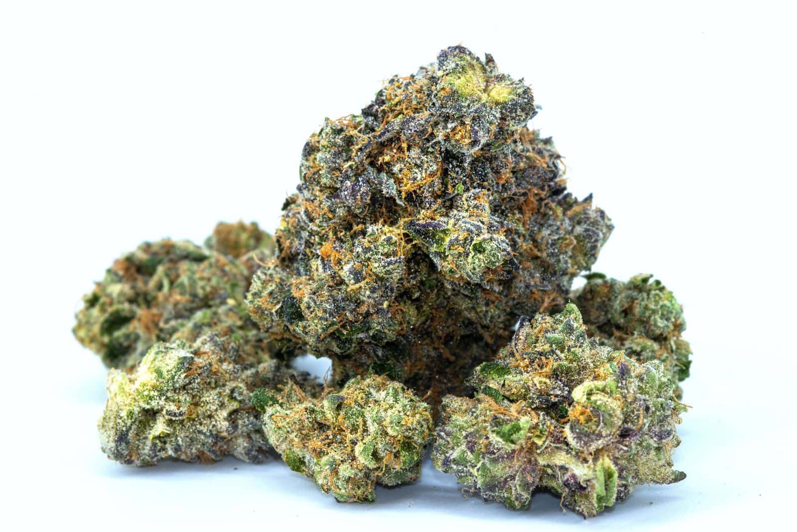 Cannabis flower buds on a white background